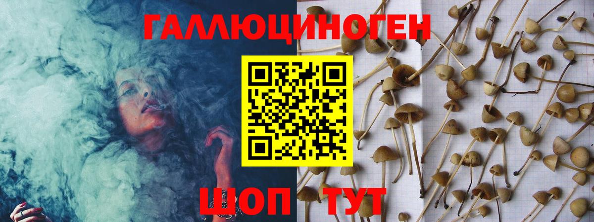 Псилоцибиновые грибы Psilocybe  Галлюциногенные грибы Cubensis  где продают   Вход с VPN  Костомукша 